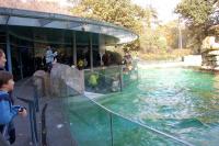 Imagine atasata: Zoo Berlin 0524.JPG
